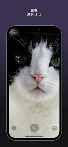猫动态壁纸app