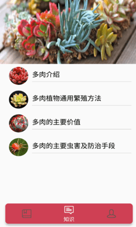 小墨多肉日记app