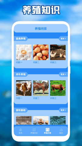 养猪场之星app