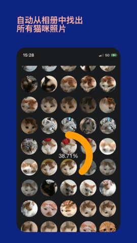 猫猫时刻app