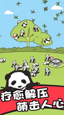  熊猫森林
