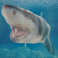 鲨鱼海洋游戏安卓版下载