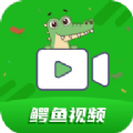 鳄鱼视频app