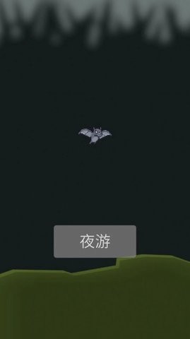 小蝙蝠夜游记游戏安卓版